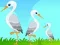 Peli Little Garden Escape verkossa