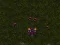 Peli Starcraft 3 verkossa
