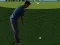 Peli Flash Golf 3D verkossa