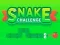 Peli Snake Challenge verkossa