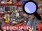 Peli Hidden Spots In The Room verkossa