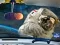 Peli Space Find The Differences verkossa