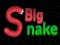 Peli Big Snake.io verkossa