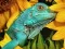Peli Ultimate Puzzles Animals 6 verkossa