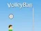 Peli VolleyBall verkossa