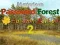 Peli Mysterious Password Forest Autumn Edition 2 verkossa
