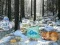 Peli Winter Wonderland Forest Adventure verkossa