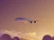 Peli Vacation Airplanes Jigsaw verkossa
