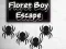 Peli Floret Boy Escape verkossa