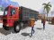 Peli Asian offroad cargo truck driver verkossa