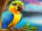 Peli Little Parrot Escape verkossa