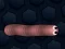 Peli Math Slither verkossa