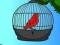 Peli Red Bird Rescue verkossa