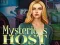 Peli Mysterious host verkossa