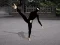 Peli Ninja Academy verkossa