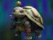 Peli Isolated Turtle Escape verkossa