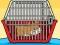 Peli Rescue The Hamster From Cage verkossa