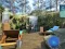 Peli Escape Adventure Festive Fun verkossa