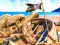 Peli Pirate Mysteries verkossa