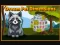 Peli Dream Pet Dimensions verkossa