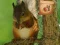 Peli Return To Mysterious Password Forest verkossa