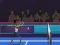 Peli Badminton Brawl verkossa
