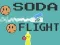Peli Soda Flight verkossa