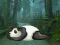 Peli Wakeup The Sleeping Panda verkossa