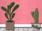 Peli Find Houseplant verkossa
