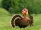Peli Ready To The Thanksgiving Party verkossa