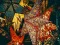 Peli Christmas Stars Jigsaw verkossa