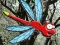 Peli Escape From Dragonfly Forest verkossa