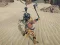 Peli The Scythian Warrior verkossa