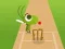 Peli Doodle Cricket verkossa