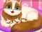 Peli Cute Kitty Pregnant verkossa