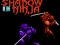Peli Shadow of the Ninja verkossa