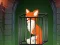 Peli Fox in the Forgotten Ruins verkossa