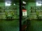 Peli Robot Bar Spot the differences verkossa
