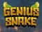 Peli Genius Snake verkossa