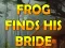 Peli Frog Finds His Bride verkossa