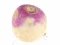 Peli Turnip verkossa
