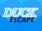 Peli Duck Escape verkossa