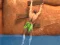 Peli Ragdoll Rock Climber verkossa