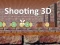 Peli Shooting 3D verkossa