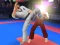 Peli Karate Fighter verkossa