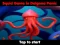 Peli Squid Game In Dalgona Panic verkossa