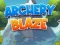 Peli Archery Blaze verkossa