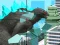 Peli Giant Wanted Monster verkossa