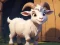 Peli Aged Wild Goat Rescue verkossa