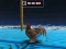 Peli Animal Impossible Track Rush verkossa